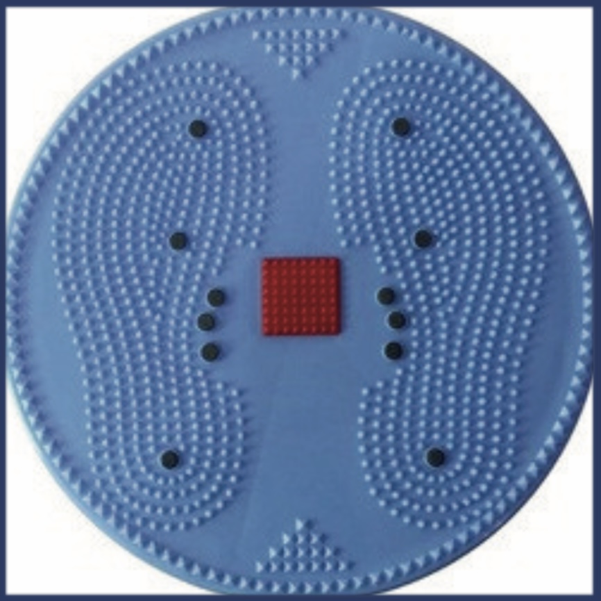 Accupressure Twister Gym Stand Disc — Scanda Enterprises, medical supplies Moosapet Hyderabad
